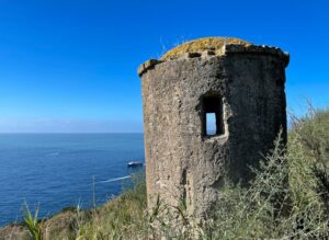 WhatsApp Image 2024-11-06 at 21.52.35_8c62ec4f